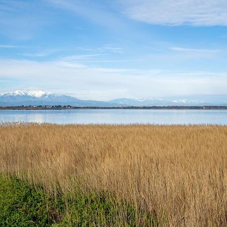 Apartment Grand Sud-2 By Interhome Canet-en-Roussillon Esterno foto
